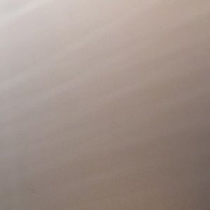 Meet your Posher, Carter